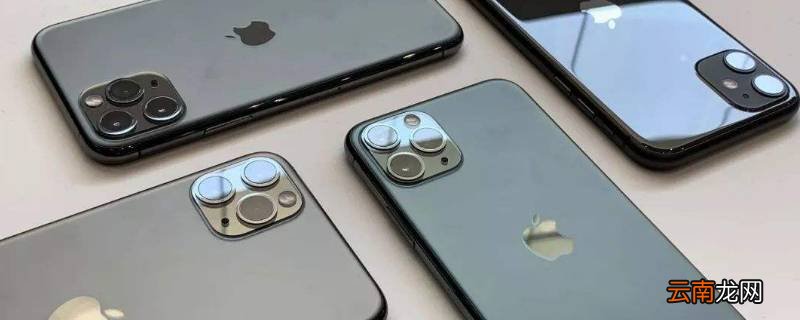 苹果两年续订版是什么意思