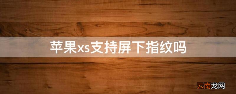 iPhonexs支持屏下指纹吗 iphonexs支持指纹识别吗