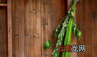 端午为什么挂艾叶菖蒲 端午为什么挂艾叶