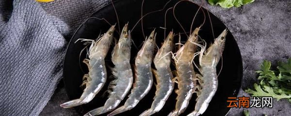白米虾是海虾还是河虾 白虾仁是河虾还是海虾
