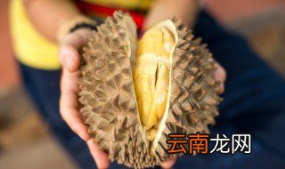 绿皮榴莲不开口能吃吗 可以吃绿皮不开口榴莲吗