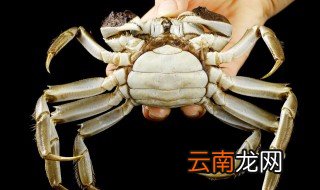 大闸蟹冰箱能放几天吗 大闸蟹冰箱能放几天