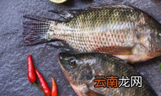 鱼汤放冰箱能保存几天，鱼汤冷藏能放几天