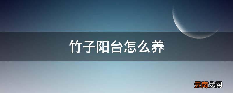 竹子阳台怎么养