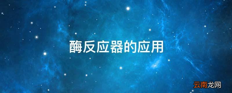 酶反应器的应用