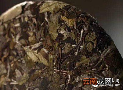 【逆袭】一片茶的故事太励志了