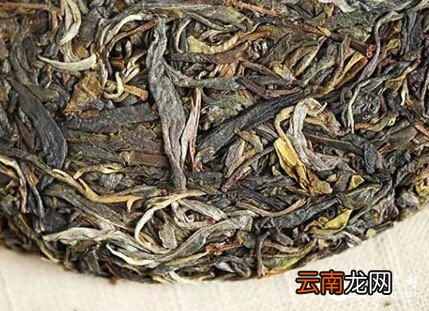 【逆袭】一片茶的故事太励志了
