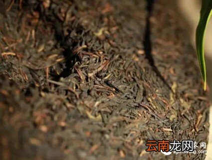 【逆袭】一片茶的故事太励志了