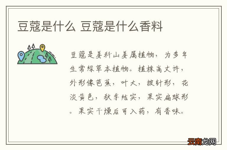 豆蔻是什么 豆蔻是什么香料