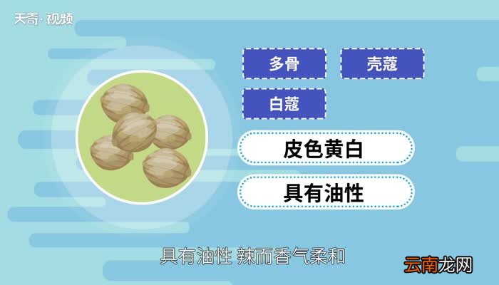 豆蔻是什么 豆蔻是什么香料