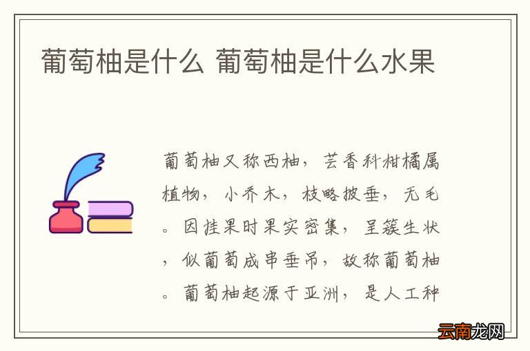 葡萄柚是什么 葡萄柚是什么水果