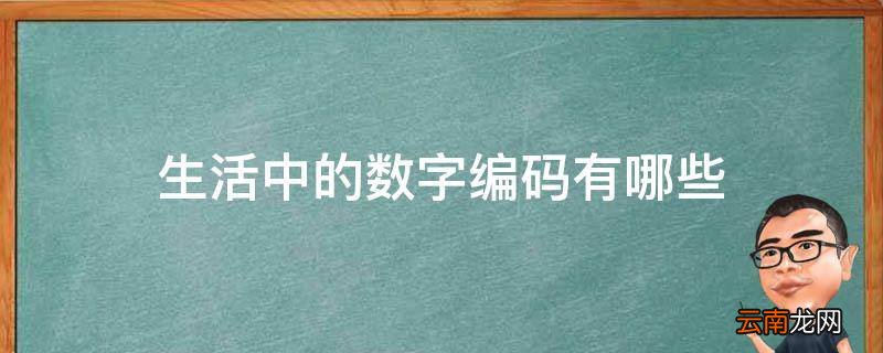 生活中的数字编码有哪些