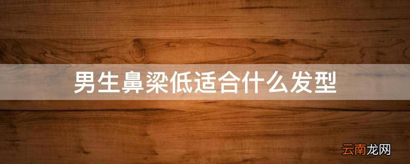 男生鼻梁低适合什么发型