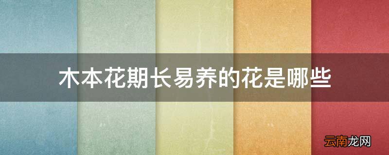 木本花期长易养的花是哪些