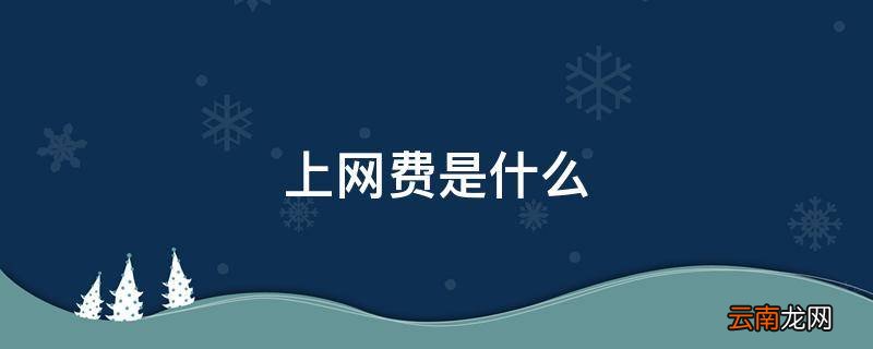 上网费是什么