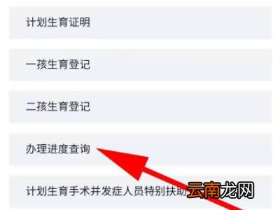 电子准生证在哪里查询