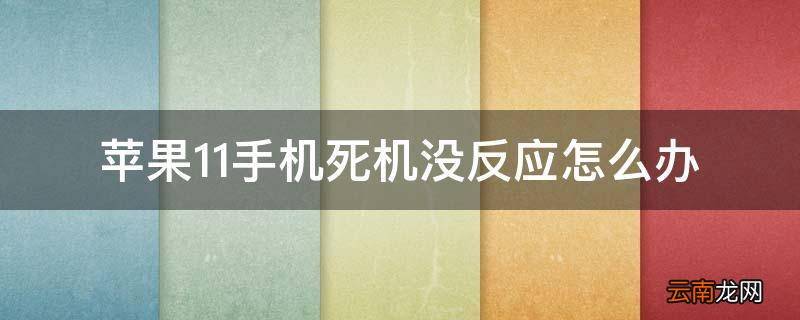 苹果11手机死机没反应怎么办