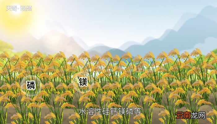 粉煤灰的作用 粉煤灰可以做什么