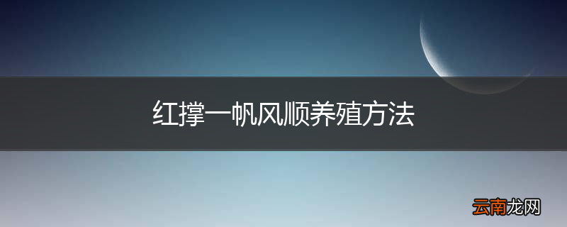 红撑一帆风顺养殖方法