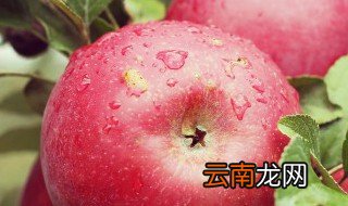 看到苹果会想到什么 不同的人看到苹果会想到什么