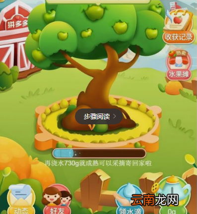 多多果园水滴如何快速获得 拼多多的多多果园水滴获取攻略