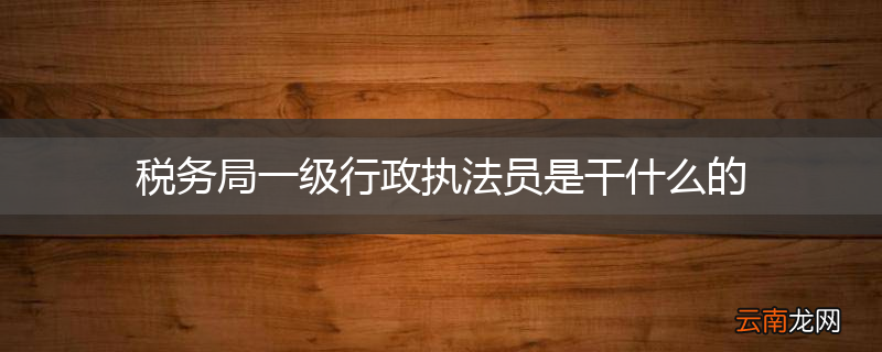 税务局一级行政执法员是干什么的