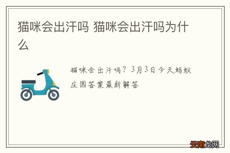 猫咪会出汗吗 猫咪会出汗吗为什么