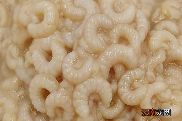 蜂王胎的功效与作用 蜂王胎的食用禁忌