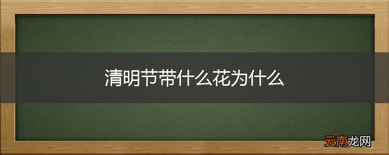 清明节带什么花为什么