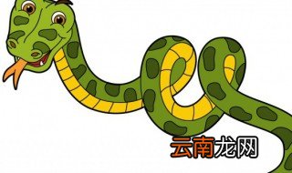 为什么蛇怕过端午，端午节蛇会怎样