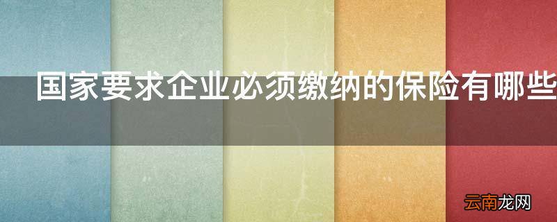 国家要求企业必须缴纳的保险有哪些