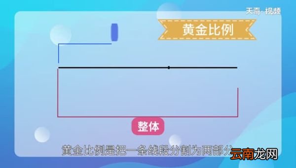 黄金比例是多少 什么是黄金比例
