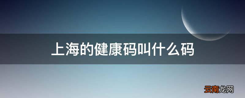 上海的健康码叫什么码