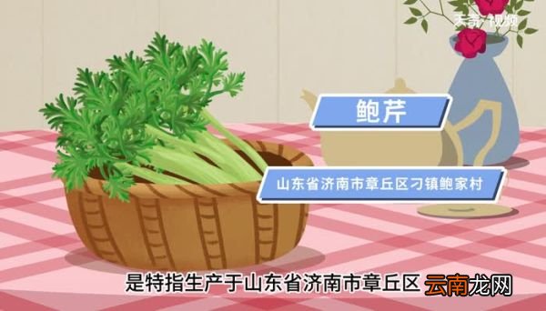 鲍芹和芹菜的区别