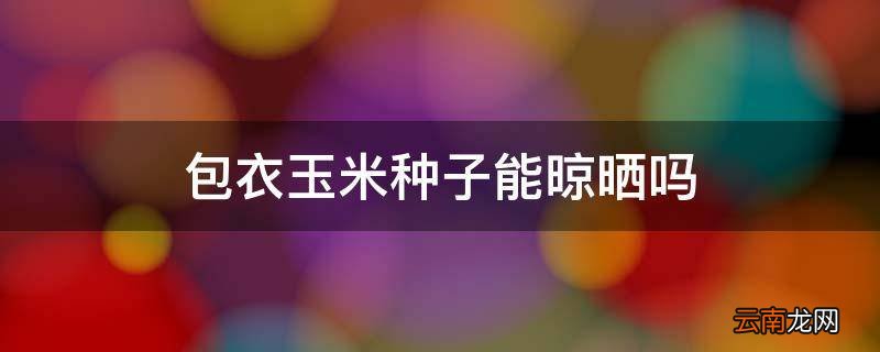 包衣玉米种子能晾晒吗