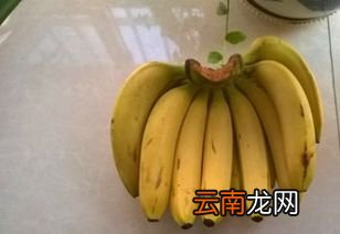青香蕉怎么保存才会变熟,香蕉怎么放可以自然熟