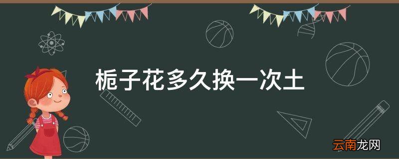 栀子花多久换一次土