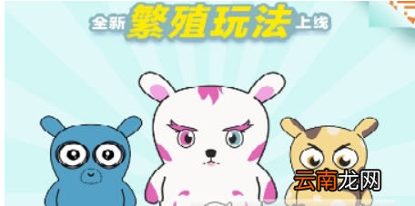 附玩法心得 加密兔如何繁殖 加密兔玩法攻略