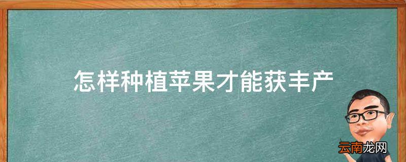 怎样种植苹果才能获丰产