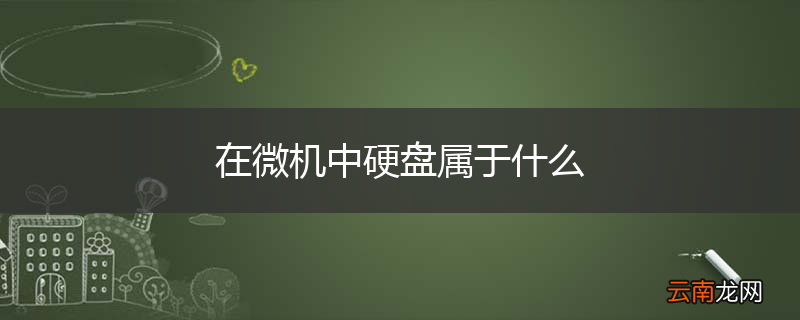 在微机中硬盘属于什么