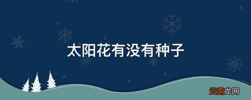 太阳花有没有种子