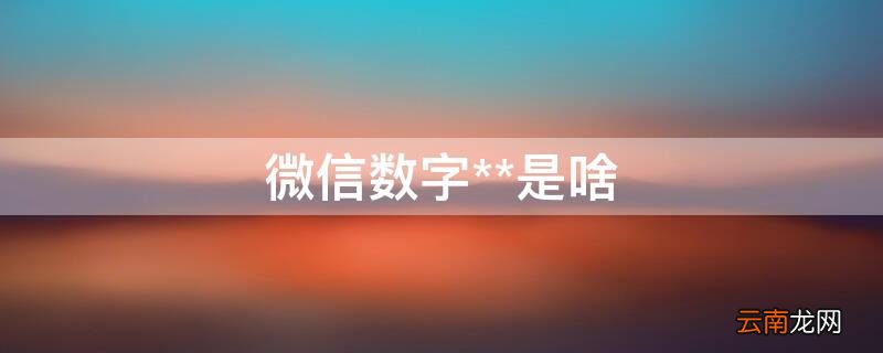 微信上面的数字是什么意思 微信数字**是啥