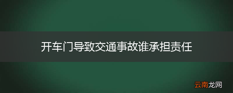 开车门导致交通事故谁承担责任