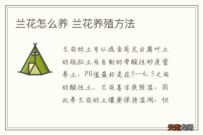 兰花怎么养 兰花养殖方法