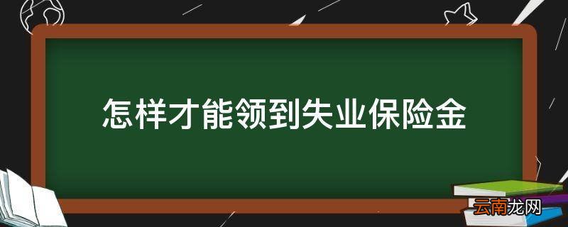 怎样才能领到失业保险金