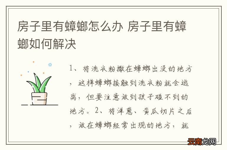 房子里有蟑螂怎么办 房子里有蟑螂如何解决