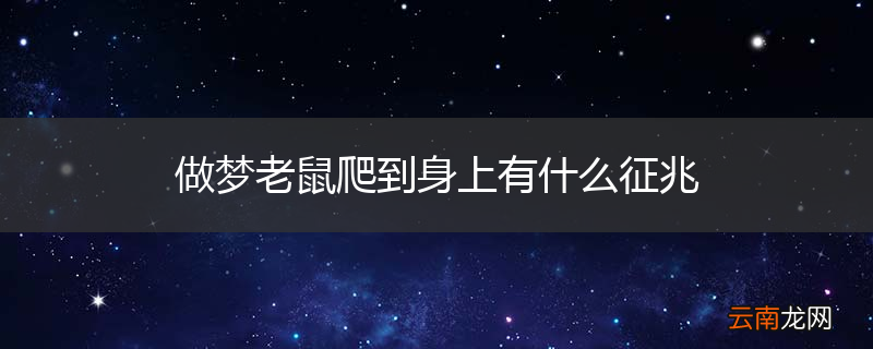 做梦老鼠爬到身上有什么征兆
