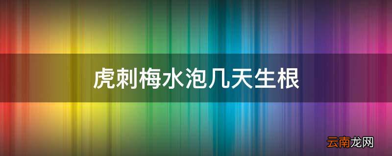 虎刺梅水泡几天生根