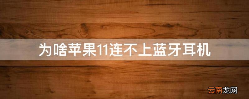 为啥iPhone11连不上蓝牙耳机 为什么iphone11连不上蓝牙耳机