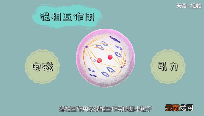 夸克是什么什么是夸克